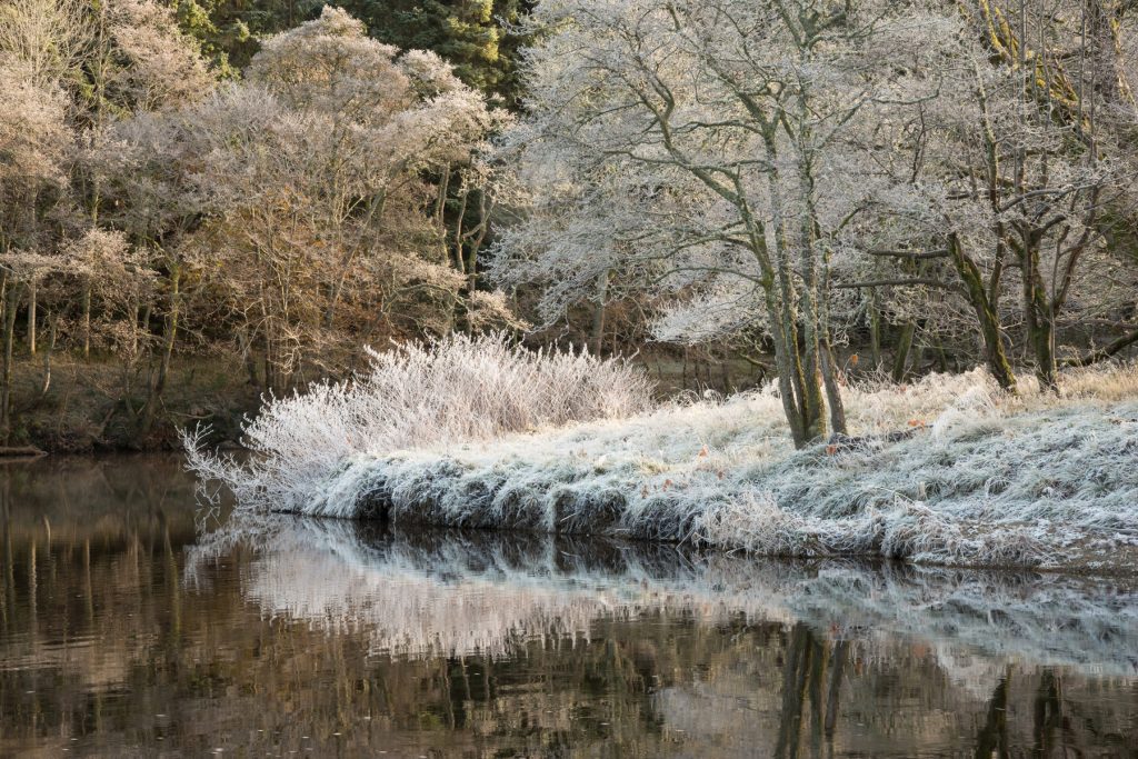 Frost am Earn II, Crieff, Strathearn, Perthshire, Schottland