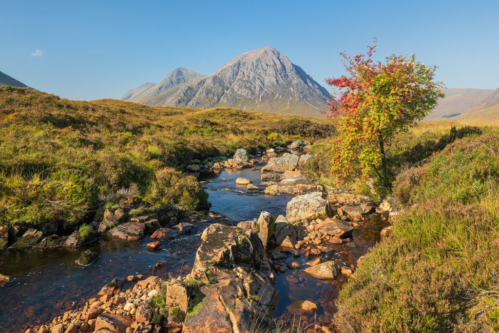Buachaille Etive Mor in early autumn colour