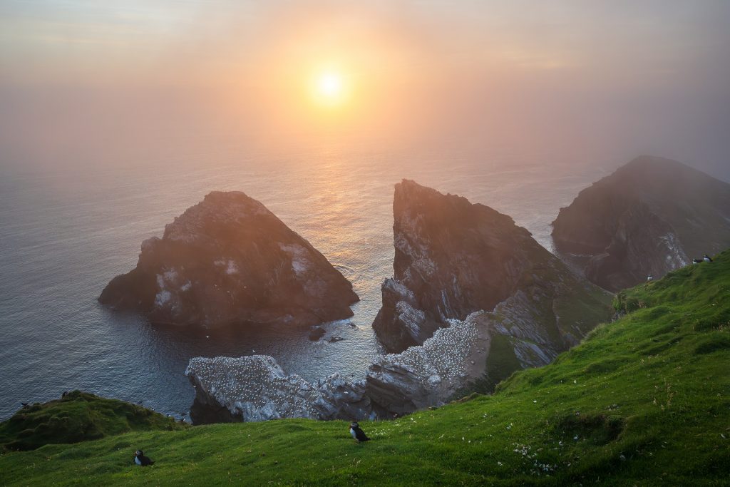 Hermaness nebliger Sonnenuntergang