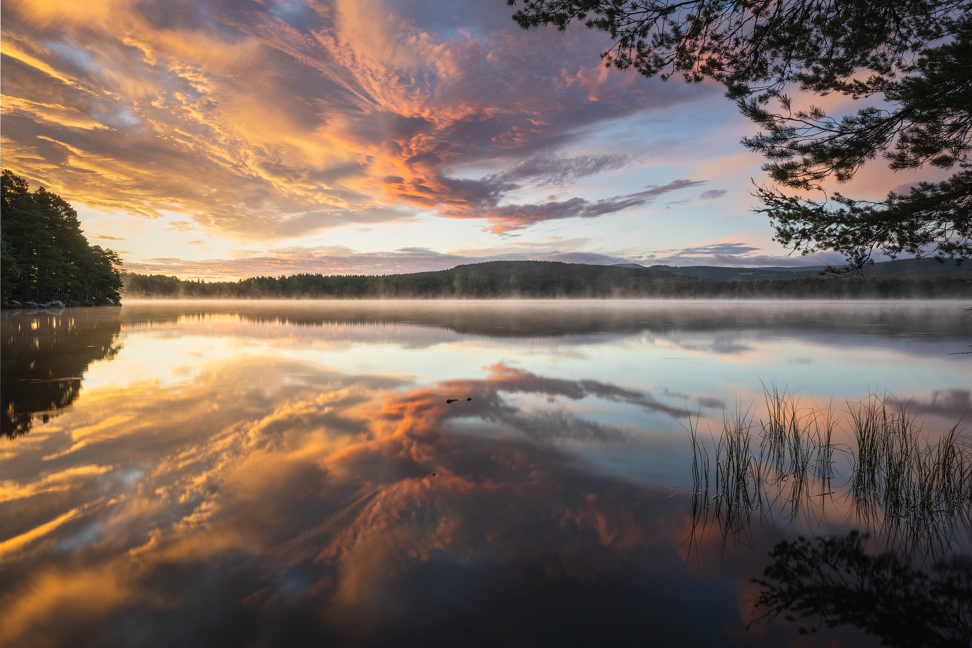 Loch Garten Sunrise, Cairngorms Loch Garten Sunrise, Cairngorms