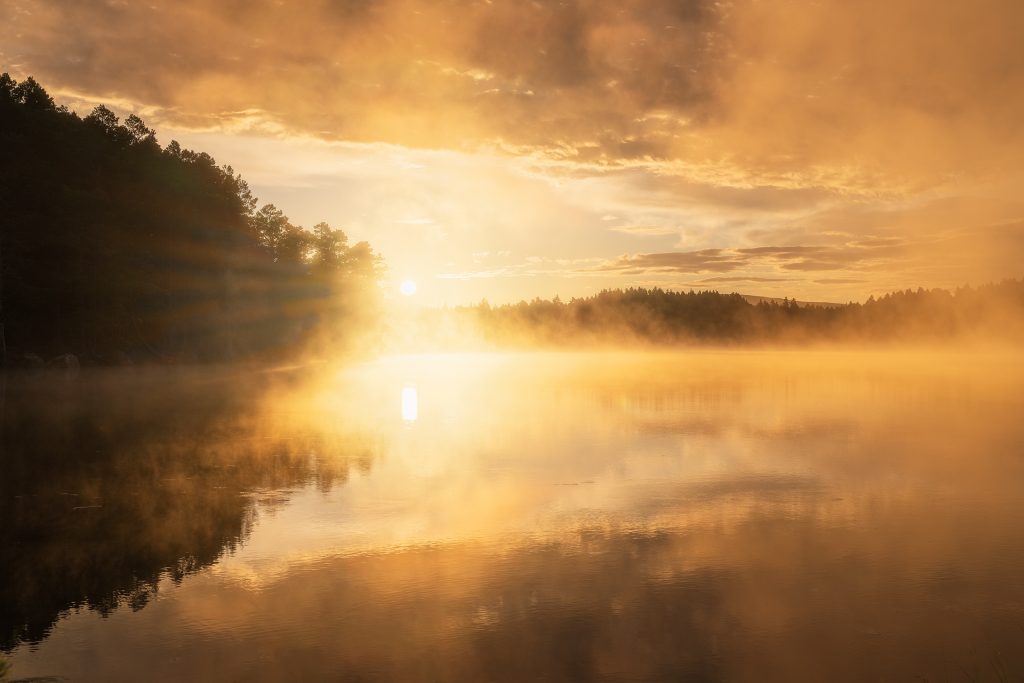 Loch Garten Sonnenaufgang