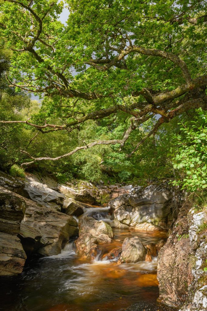 kleiner Bachlauf in Glen Bankor