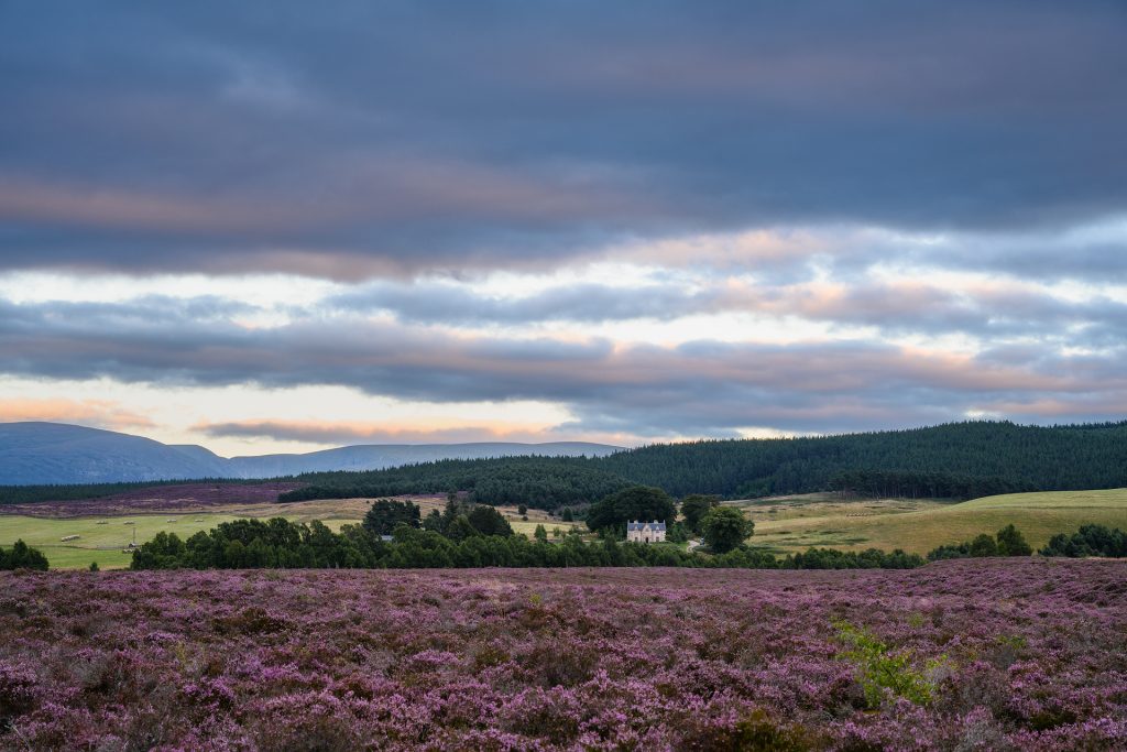 Blaue Stunde, Cairngorms