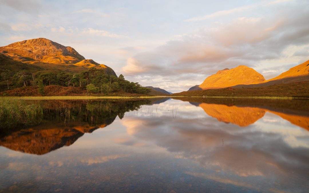 Fotoreisen 2025 Rückblick